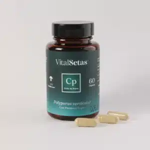 Cápsulas de Cola de Pavo de Vital Setas