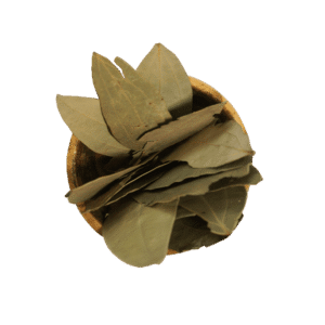 Hojas de Laurel Spicarium